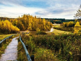 Vakantiepark Rhenen Omgeving 28