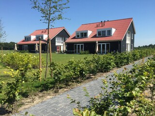Vakantiepark Paasloo Buitenaudio-opname 4