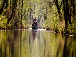 Vakantiepark Paasloo Omgeving 16