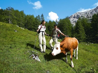 Maison de vacances St. Koloman Environnement 30