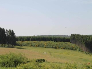 Parco vacanze Paasloo Ambiente 20