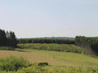 Ferienpark Paasloo Umgebung 19