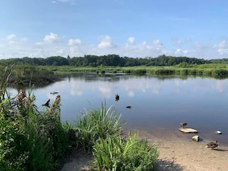 Vakantiepark Ustronie Morskie Omgeving 22