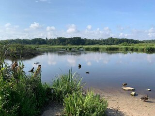 Vakantiepark Ustronie Morskie Omgeving 24