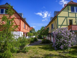 Parque de vacaciones Göhren-Lebbin Grabación al aire libre 25