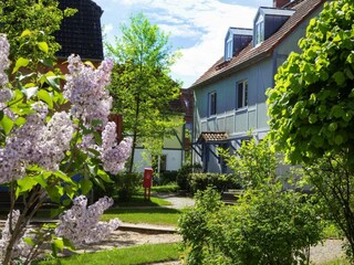 Parc de vacances Göhren-Lebbin Enregistrement extérieur 5