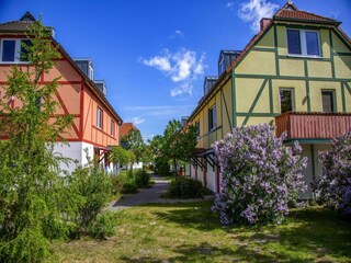 Ferienpark Göhren-Lebbin Außenaufnahme 18