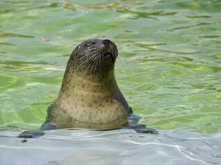 Holiday park De Cocksdorp Environment 33