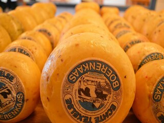 Vakantiepark De Cocksdorp Omgeving 32