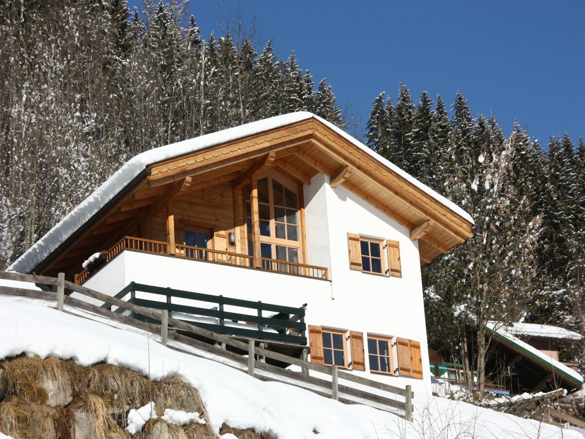 Ferienpark Wald im Pinzgau Außenaufnahme 1