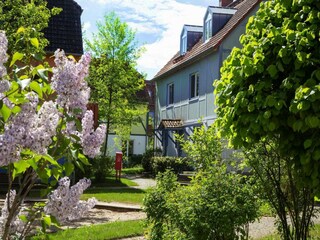Ferienpark Göhren-Lebbin Außenaufnahme 15