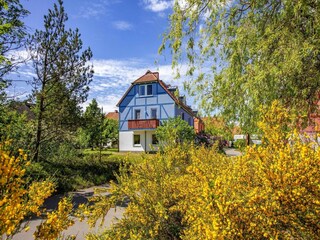 Parc de vacances Göhren-Lebbin Environnement 25
