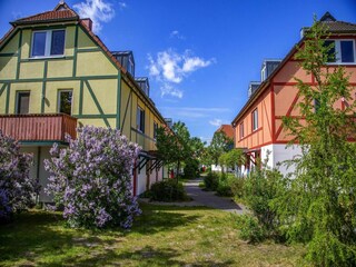 Ferienpark Göhren-Lebbin Umgebung 30