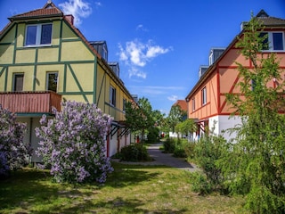 Vakantiepark Göhren-Lebbin Omgeving 35