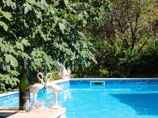 Vakantieappartement Porec Buitenaudio-opname 6