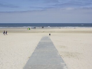 Vakantiepark De Cocksdorp Omgeving 16