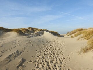 Vakantiepark De Cocksdorp Omgeving 15