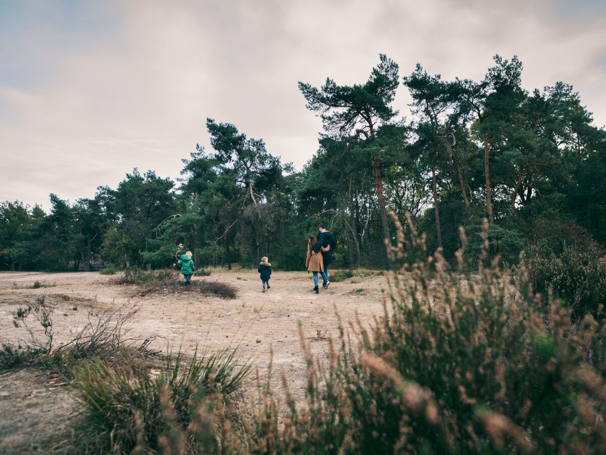 Ferienpark Oosterhout Umgebung 12