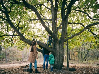 Parc de vacances Oosterhout  25