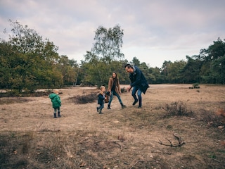 Parc de vacances Oosterhout Environnement 16