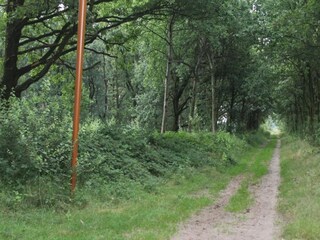 Parc de vacances Oosterhout Environnement 16