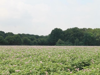 Vakantiepark Oosterhout Omgeving 17