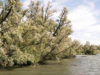 Parc de vacances Oosterhout Environnement 18
