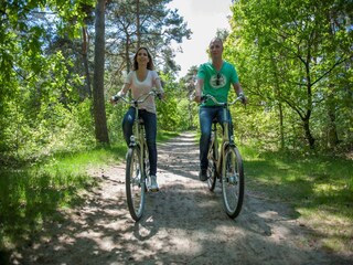 Holiday park Oosterhout  36