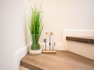 Vakantiehuis Damp  29