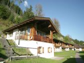 Ferienpark Wald im Pinzgau Außenaufnahme 1