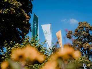 Vakantiepark Altenau im Oberharz  44