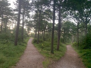 Vakantiepark Den Burg Omgeving 17