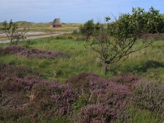 Vakantiepark Den Burg Omgeving 18
