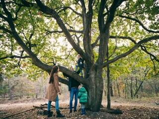 Parc de vacances Oosterhout  36
