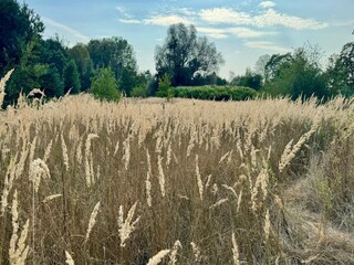 Parc de vacances Dobbin-Linstow Environnement 21