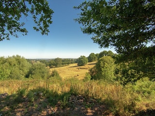 Vakantiepark Saint-Léonard-de-Noblat Omgeving 28