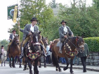 Holiday park Wald im Pinzgau Environment 33