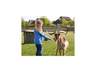 Vakantiepark Dobbin-Linstow  35