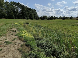 Vakantiepark Dobbin-Linstow Omgeving 14