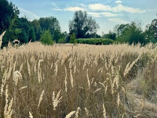 Parc de vacances Dobbin-Linstow Environnement 26