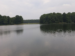 Ferienpark Dobbin-Linstow Umgebung 23