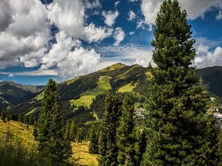 Ferienpark Wald im Pinzgau Umgebung 31