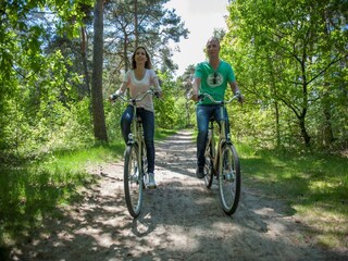 Parque de vacaciones Oosterhout  38