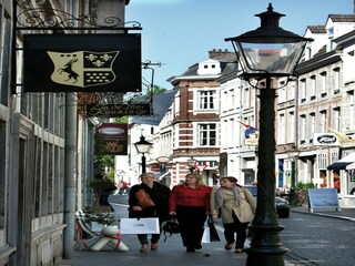 Parque de vacaciones Maastricht Entorno 15