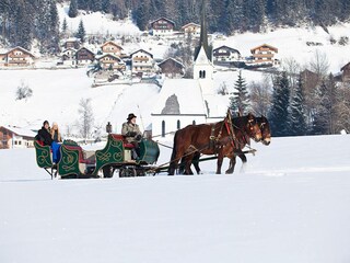 Ferienpark Wald im Pinzgau Ausstattung 20