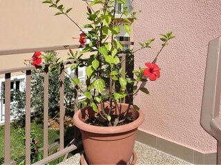 Parco vacanze Starigrad Registrazione all'aperto 2