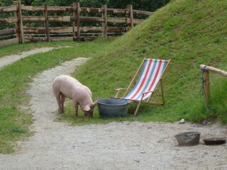 Appartamento per vacanze Hippach Ambiente 18