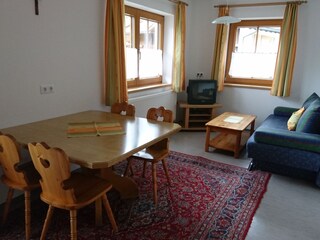 Appartamento per vacanze Hippach Caratteristiche 14