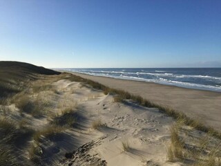 Vakantiepark De Koog Omgeving 14