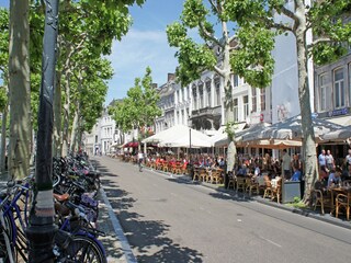 Parque de vacaciones Maastricht Entorno 25